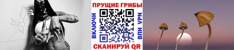 сайты даркнета Telegram  blacksprut рабочий сайт  Жигулёвск  Псилоцибиновые грибы Psilocybe 